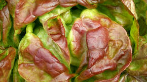 Légumes